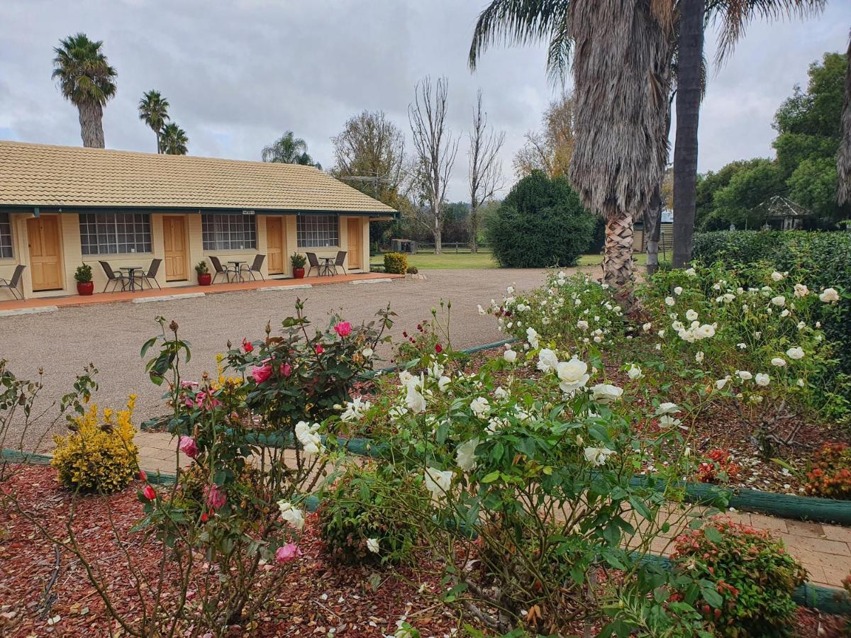 The Aston Motel Tamworth Exteriör bild